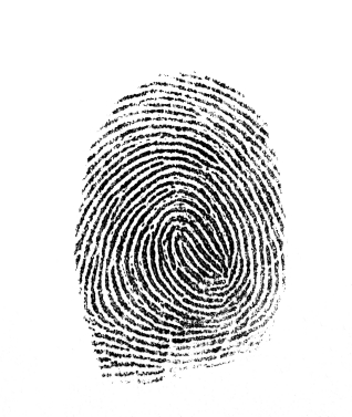 Las Vegas Arrestees are Fingerprinted